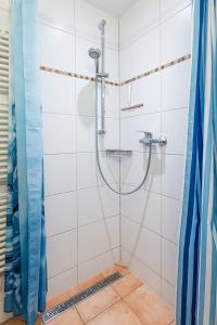 een douche in een badkamer met een douchegordijn bij Schwarzwaldhimmel in Feldberg