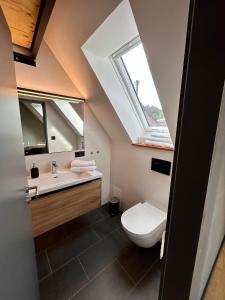 uma casa de banho com um WC e um lavatório com uma clarabóia em Landgrafen-Mühle em Wallhalben