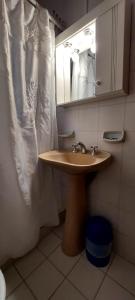 a bathroom with a sink and a shower curtain at Lo de Antonio Departamentos in Valeria del Mar