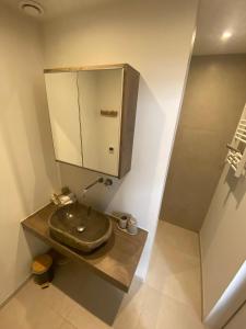 een badkamer met een wastafel en een spiegel bij B&B appartement Rebel and Moon in het centrum van Alblasserdam in Alblasserdam