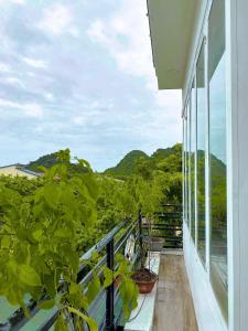 a balcony with a view of trees and mountains at Hideaway Homestay in Phong Nha