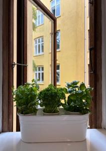 two potted plants sitting in an open window at Lejlighed i København Vesterbro- Dybbølsgade in Copenhagen