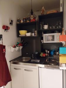 una cucina con lavello e microonde di Gite de la Piegerie a Courgenard Altre 8 foto