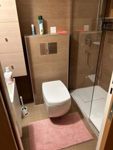 a small bathroom with a toilet and a shower at Apartment in the heart of Crans Montana in Crans-Montana