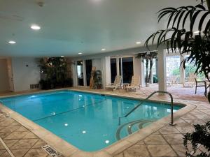 Hồ bơi trong/gần Comfort Inn & Suites East Greenbush - Albany