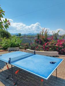 a blue ping pong table with flowers in the background at Villa Anna - Bifamiliare sul mare in Torregrotta