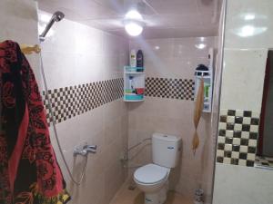 uma pequena casa de banho com WC e chuveiro em Dar zerhane em Fez