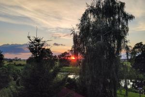 un tramonto su un fiume con un albero piangente di The hills at river a Czarnków