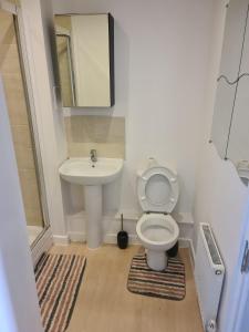 a bathroom with a toilet and a sink at D Merciful Homes in Kent