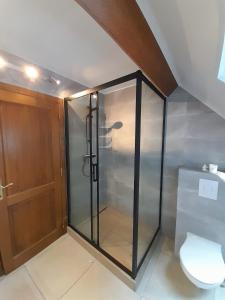 a glass shower in a bathroom with a toilet at Au bord de l'Orléans in Spa