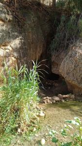 een grot in de zijkant van een berg met gras bij La dimora delle terme di Segesta in Castellammare del Golfo