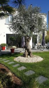 a tree sitting in the middle of a yard at Chez Lily in Vélizy-Villacoublay