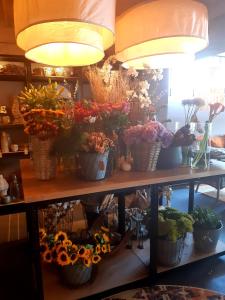 Fotografie z fotogalerie ubytování Landhaus Spanier v destinaci Nonnweiler + 45 fotografií