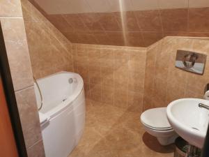 łazienka z toaletą i umywalką w obiekcie Siedlisko nad stawem w mieście Ełk