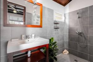 un bagno con lavandino e doccia di Appartement Alizé Vue Imprenable Sur La mer a Sainte-Luce