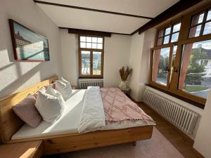 a bedroom with a large bed in a room with windows at Gemütliches Doppelbett-Zimmer in Schöftland in Schöftland