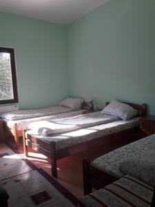 Llit o llits en una habitació de MS Stojic