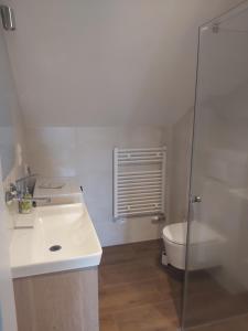 a bathroom with a toilet and a sink and a shower at Apartamenty Łagiewniki in Krakow