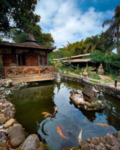 a koi pond in front of a house at Pousada Astral da Ilha in Ilha do Mel