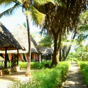 a path with palm trees in front of a house at Private cottages @ Karibuni Villas in Malindi