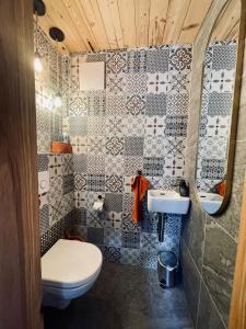 a bathroom with a toilet and a sink at Chalet BRUNNHÄUSL in Hüttschlag