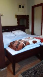 Llit o llits en una habitació de MS Stojic