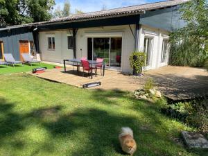 un cane che corre nell'erba di fronte a una casa di CHEZ NOUNOU a Souvans