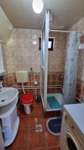 a bathroom with a shower and a toilet and a sink at Planinska Kuća Dušan in Mitrovac
