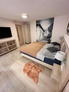 een slaapkamer met een bed en een televisie en een tapijt bij Pokoje gościnne Nadrzeczna in Kazimierz Dolny