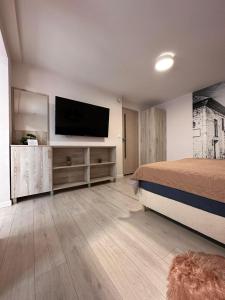 een slaapkamer met een bed en een flatscreen-tv bij Pokoje gościnne Nadrzeczna in Kazimierz Dolny