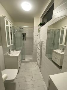 La salle de bains est pourvue d'une douche, d'un lavabo et de toilettes. dans l'établissement Apartament Czytelnia - parking gratis, à Poznań
