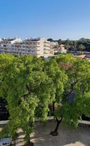a group of trees in front of a city at Casa Das Conchas in Costa da Caparica