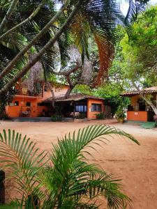 an orange house with a palm tree in front of it at Pousada Cajibá Imbassaí in Imbassai