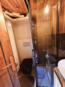 a bathroom with a shower and a toilet and a sink at Gesatona Angel House in Fındıklı