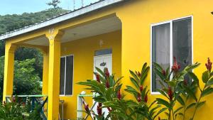 una casa amarilla con una ventana y algunas plantas en Berton Place, en Providencia