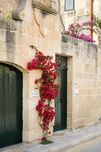 Foto sihtkohas Għasri asuva majutusasutuse Gozo Escape galeriist