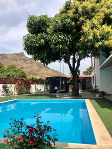 a blue swimming pool in front of a house with a tree at Finca Pedra Molar in Órgãos