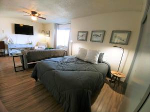 een slaapkamer met een bed en een woonkamer bij Seagull's Nest in the heart of Long Beach in Long Beach