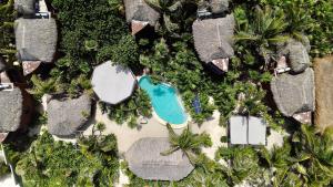 an overhead view of a swimming pool on a beach at Sueños Tulum in Tulum