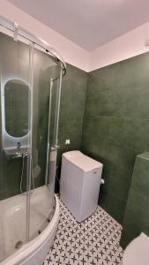 a green bathroom with a toilet and a shower at Apartament typu studio in Włocławek