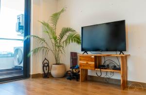 SOLEA - Super central, comfortable and modern apartment في آكرا: غرفة معيشة مع تلفزيون ونبات الفخار