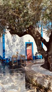 a picnic table under a tree in a courtyard at Monte do Pópulo in Estremoz +35 photos
