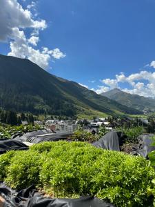 Mynd úr myndasafni af Basecamp Andermatt í Andermatt