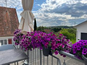 een balkon met paarse bloemen op een hek bij Au parfum des roses in Gunstett