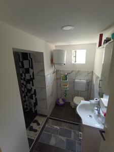 uma casa de banho com um lavatório e um WC em Cookies Old House Visoko em Visoko