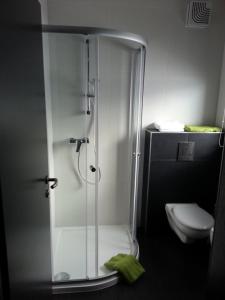 a bathroom with a shower and a toilet at Raceland Krško in Krško