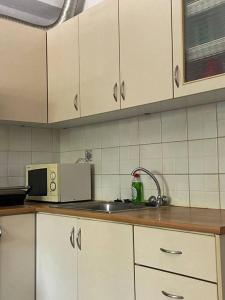 kuchnia z białymi szafkami, zlewem i kuchenką mikrofalową w obiekcie George Apartment w mieście Lamia