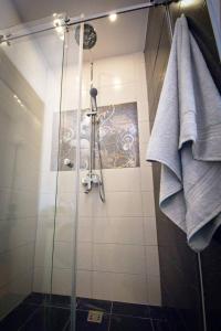 ein Bad mit einer Dusche und einer Glastür in der Unterkunft Apartman Omega in Sarajevo