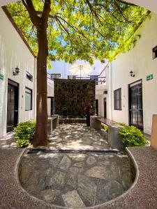 un edificio con un árbol en medio de un patio en Calesa Real en Querétaro