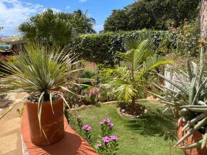 Gallery image of Le Jardin Exotique Hotel in Diego Suarez